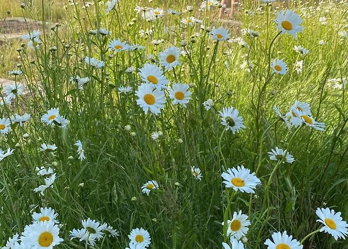 住宿加早餐酒店 Tanti Baci! 3*