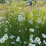 ベッド・アンド・ブレックファスト Tanti Baci! 3*